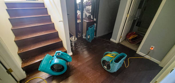 Carpet water damage restoration in IN