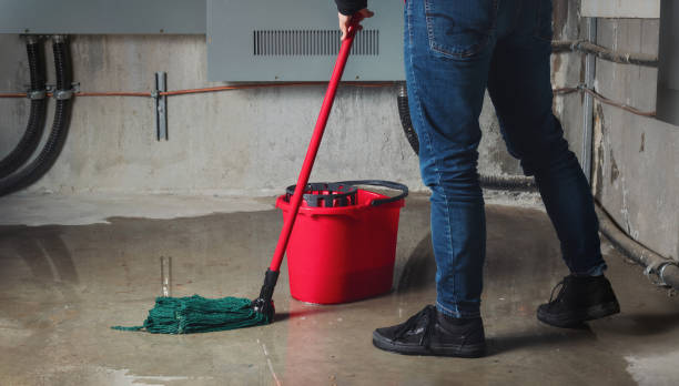 Best Water damage restoration near me  in Cicero, IN