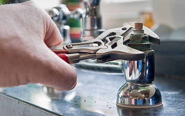 Best Flood restoration services  in Cicero, IN
